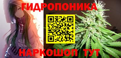 соль ск Тулун