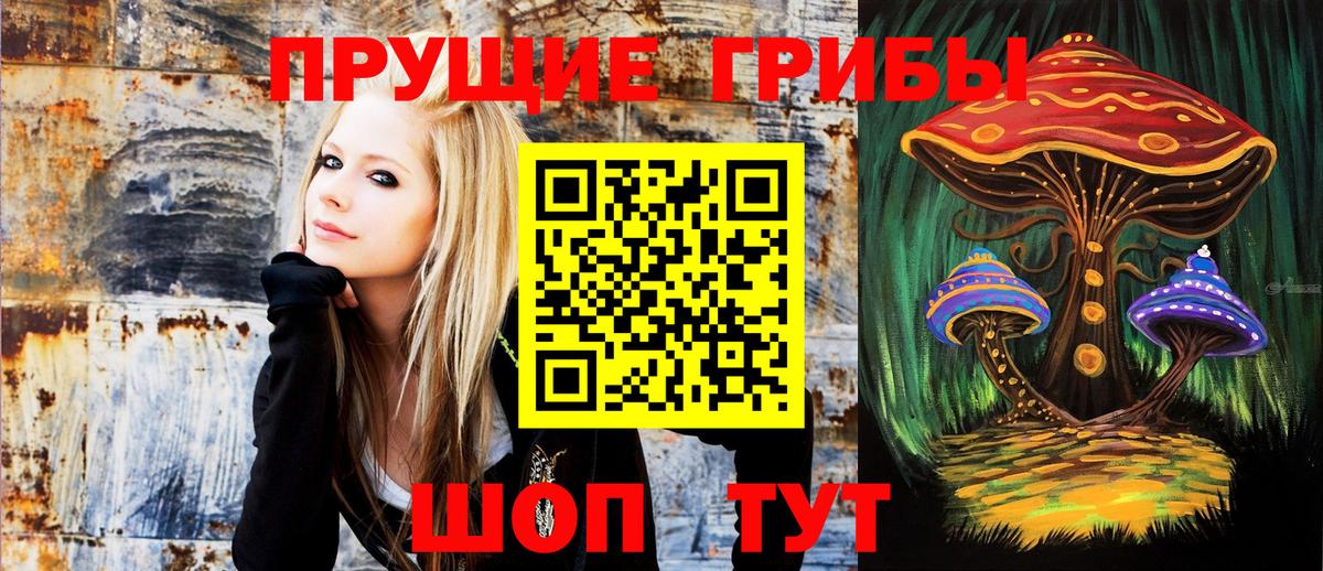 Псилоцибиновые грибы MAGIC MUSHROOMS  Псилоцибиновые грибы Cubensis  Белогорск  Вход с VPN 